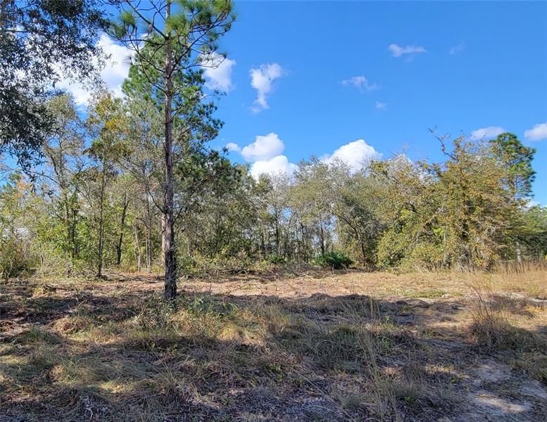 Recently Sold: $65,000 (5.00 acres)