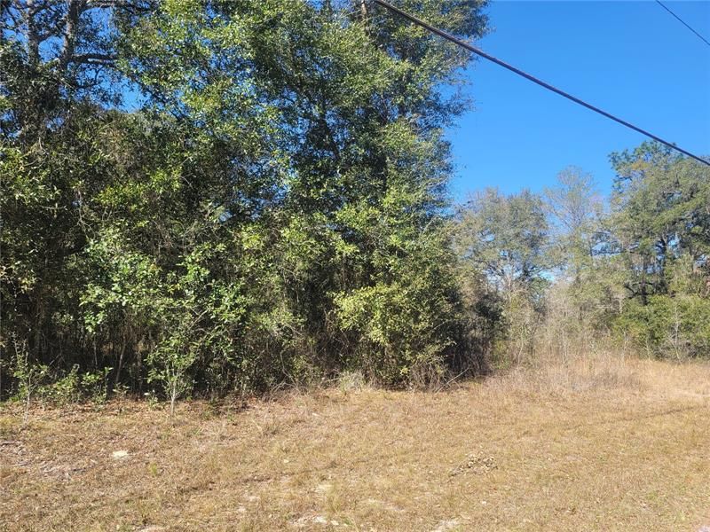 Recently Sold: $17,500 (0.61 acres)