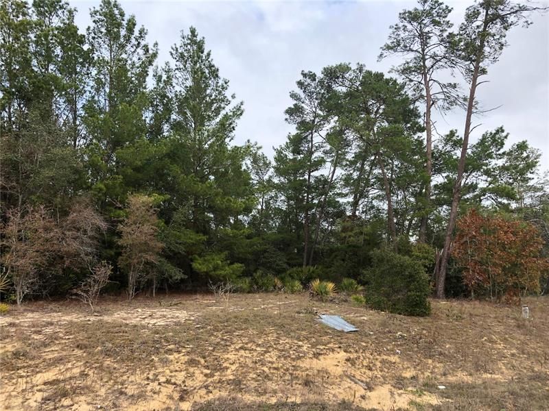 Recently Sold: $89,900 (10.10 acres)