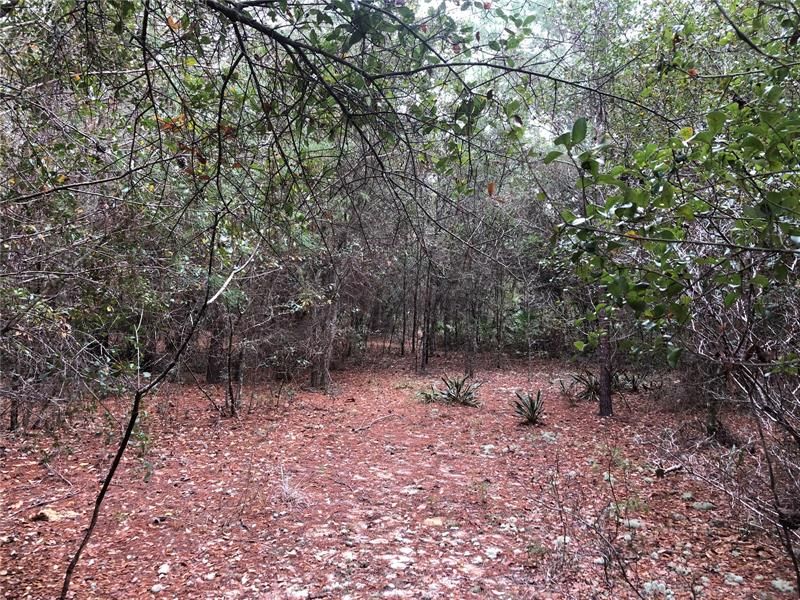 Recently Sold: $89,900 (10.10 acres)