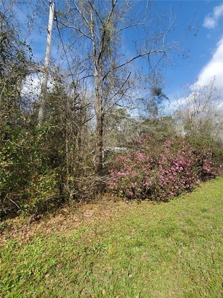 Recently Sold: $89,000 (2.35 acres)