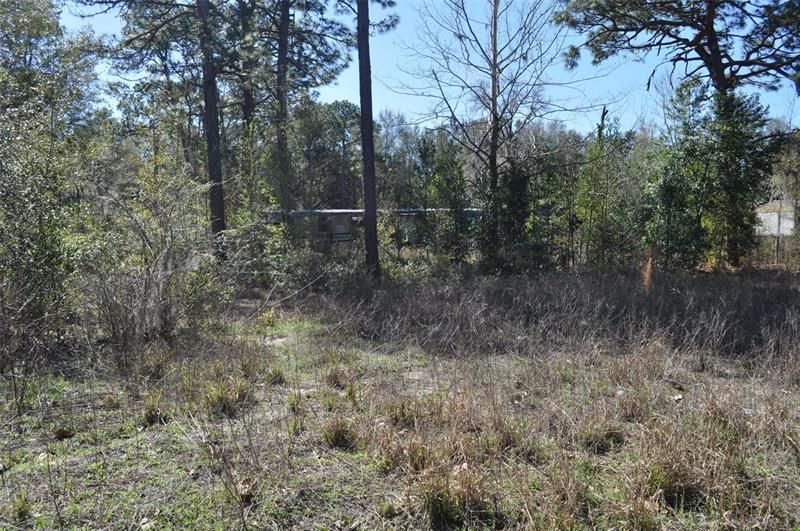 Recently Sold: $49,900 (1.00 acres)