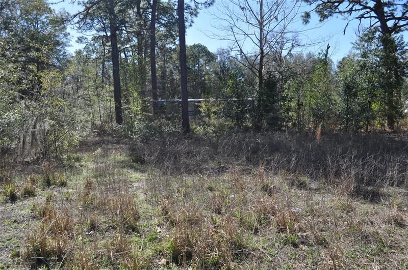 Recently Sold: $49,900 (1.00 acres)