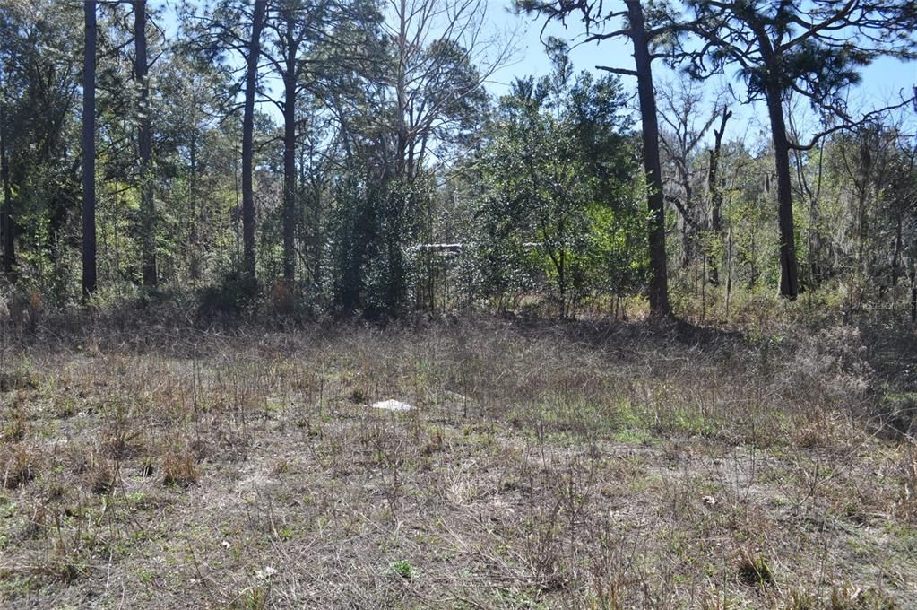 Recently Sold: $49,900 (1.00 acres)