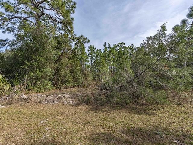 Recently Sold: $9,000 (0.23 acres)