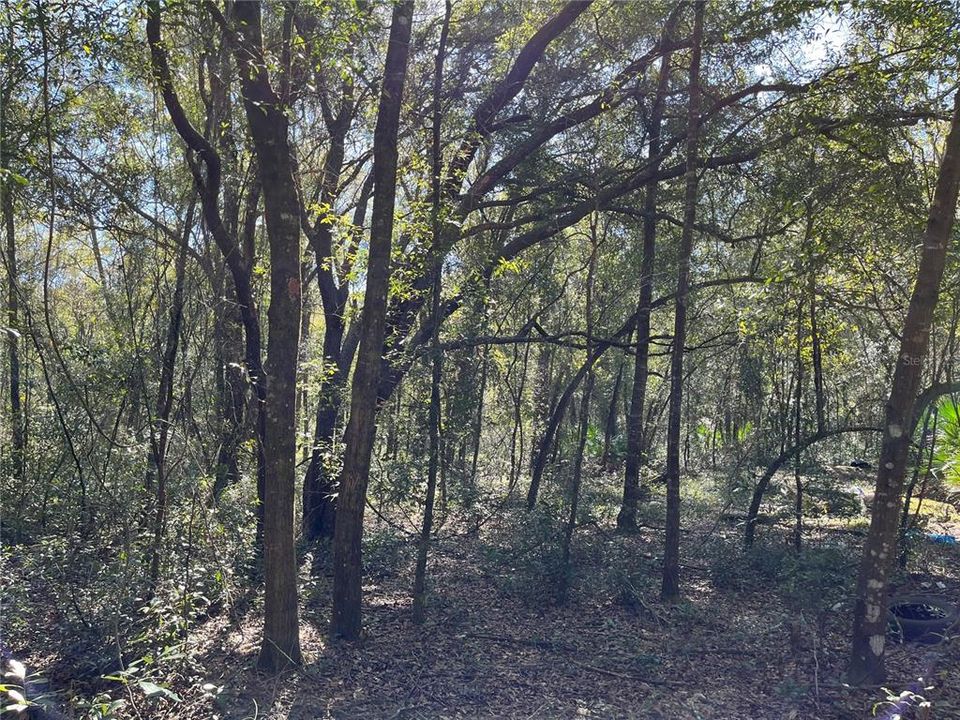 Recently Sold: $6,900 (0.28 acres)