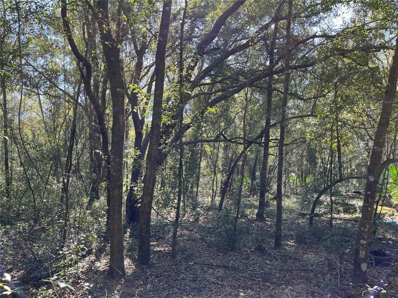 Vendido Recientemente: $6,900 (0.28 acres)