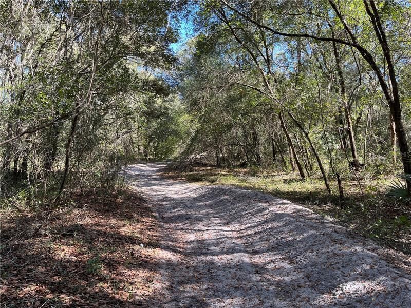 Recently Sold: $6,900 (0.28 acres)