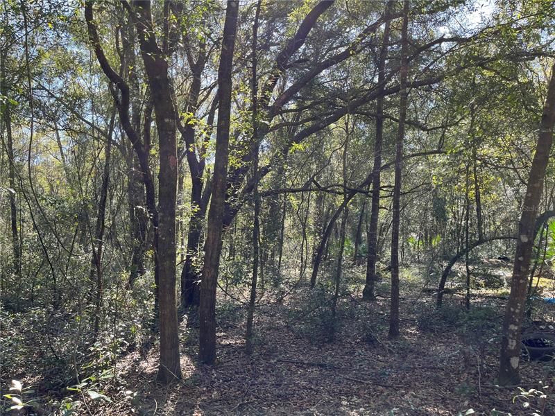 Vendido Recientemente: $6,900 (0.28 acres)