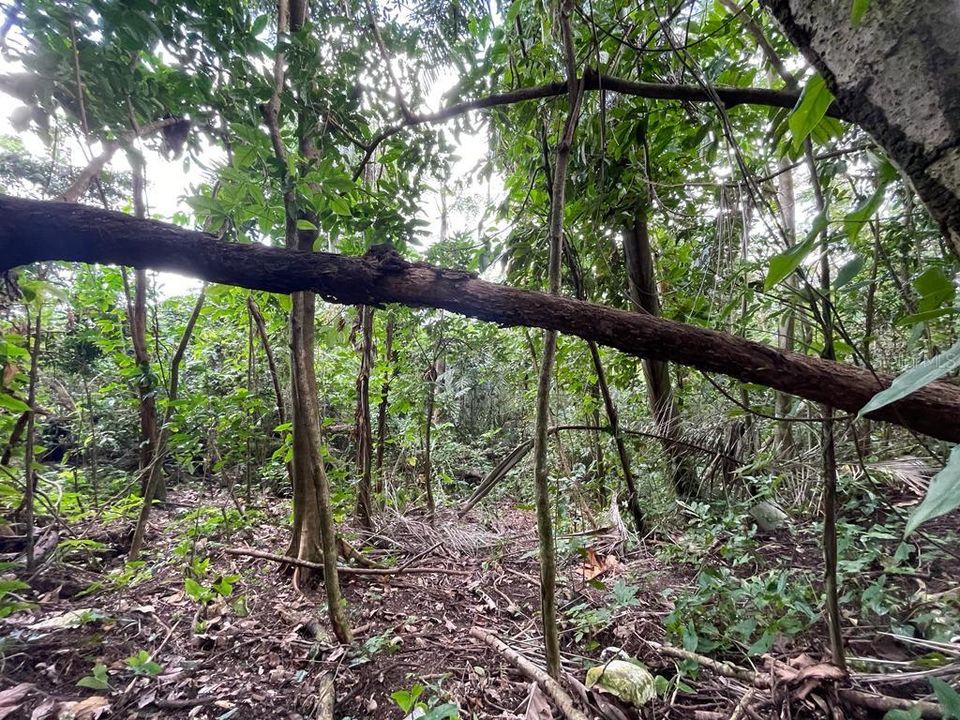 Недавно продано: $30,000 (0.53 acres)