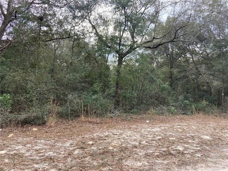 Recently Sold: $18,850 (1.25 acres)