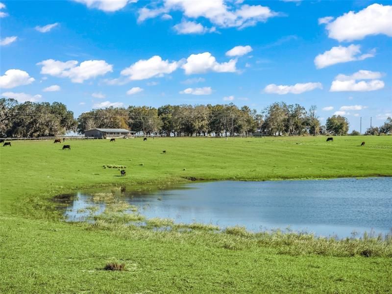 Recently Sold: $525,000 (21.00 acres)