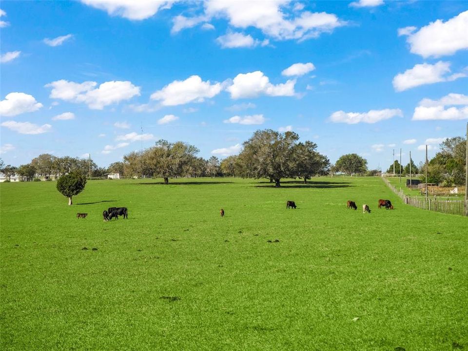 Недавно продано: $275,000 (11.00 acres)