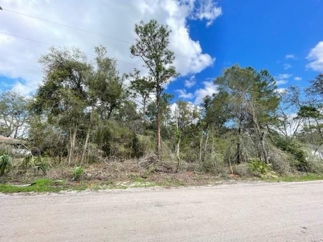 Recently Sold: $49,900 (0.17 acres)