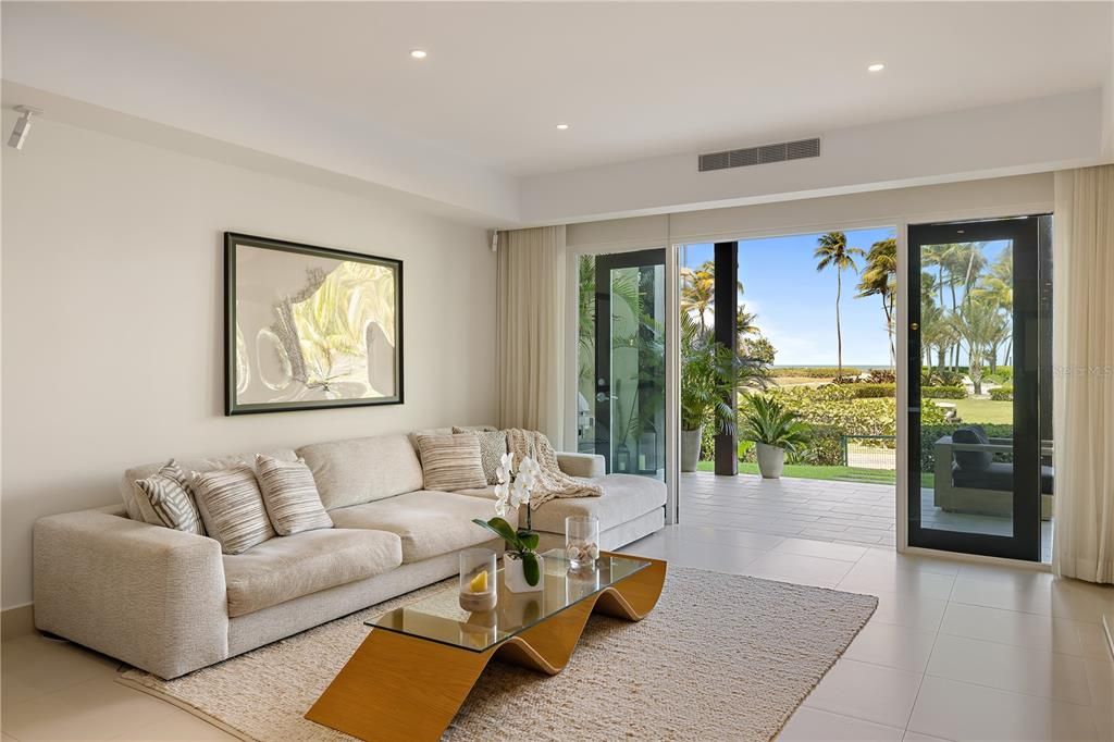 Living room and terrace