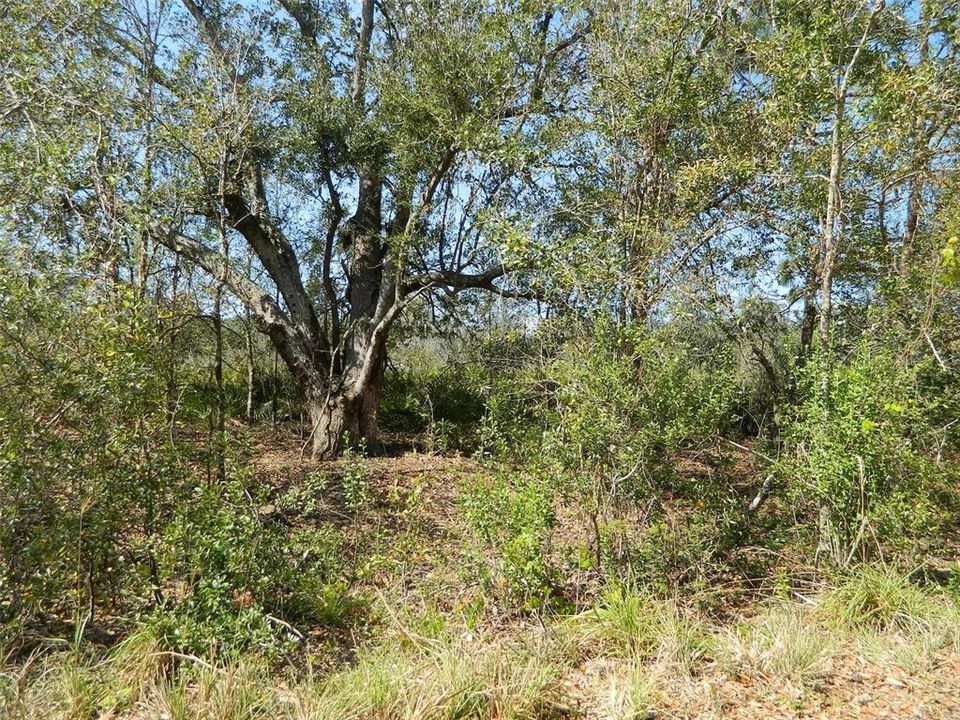 Vendido Recientemente: $70,000 (2.90 acres)