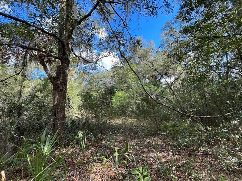 Recently Sold: $28,900 (0.53 acres)