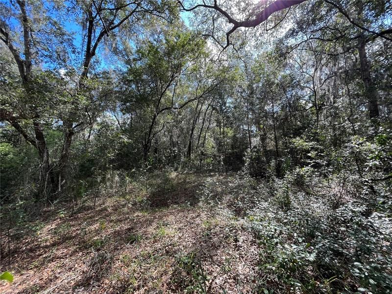 Recently Sold: $28,900 (0.53 acres)