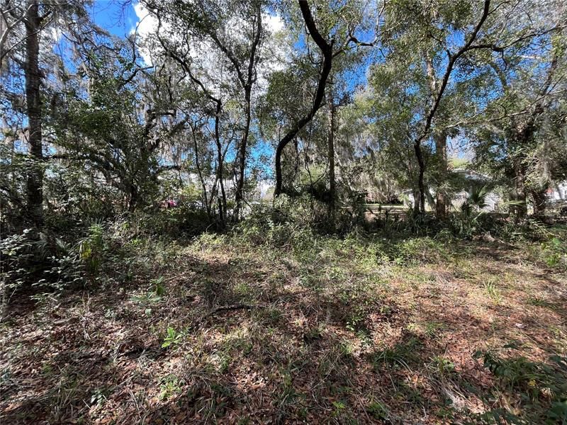 Recently Sold: $28,900 (0.53 acres)
