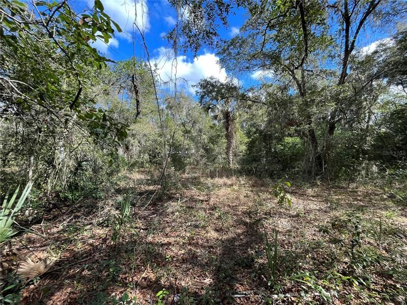 Vendido Recientemente: $28,900 (0.53 acres)