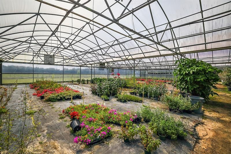 Greenhouse space