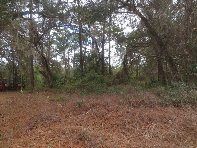 Recently Sold: $9,600 (0.28 acres)