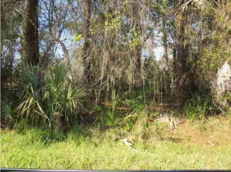 Recently Sold: $10,800 (0.17 acres)