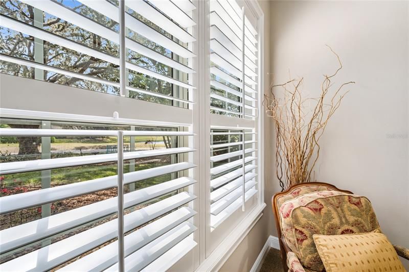 Plantation Shutters Throughout