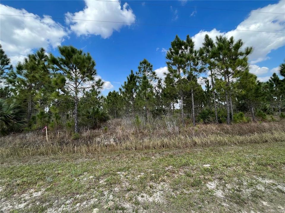 Vendido Recientemente: $38,500 (2.50 acres)