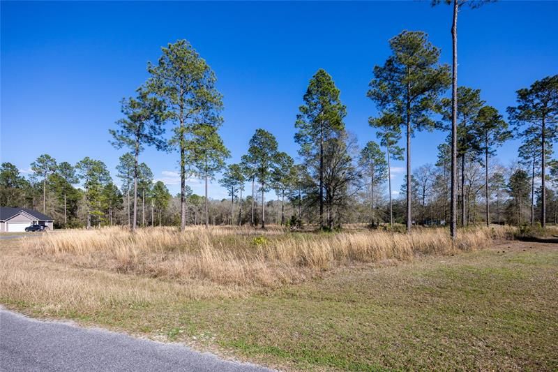 Recently Sold: $48,000 (1.00 acres)