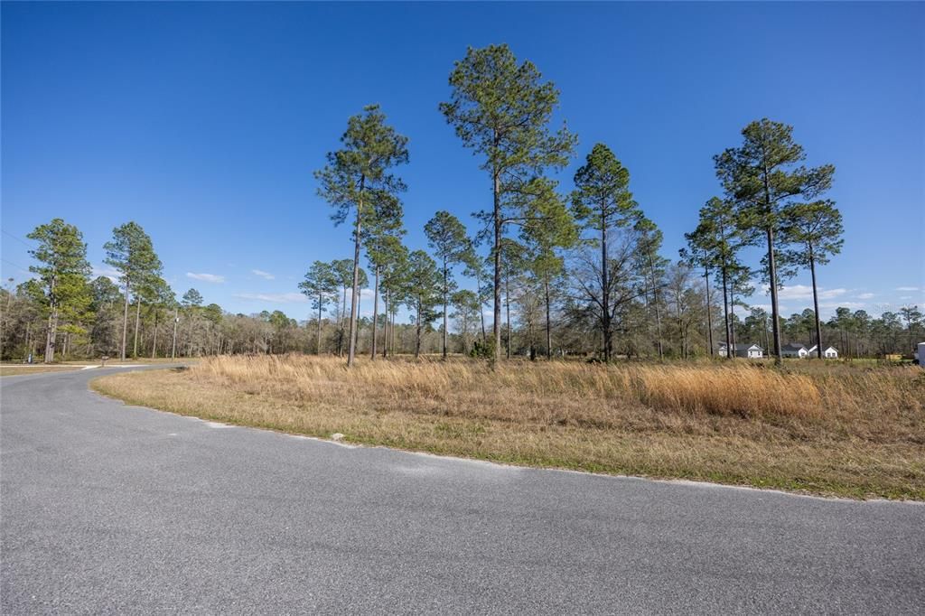 Recently Sold: $48,000 (1.00 acres)