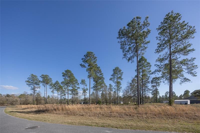 Recently Sold: $48,000 (1.00 acres)