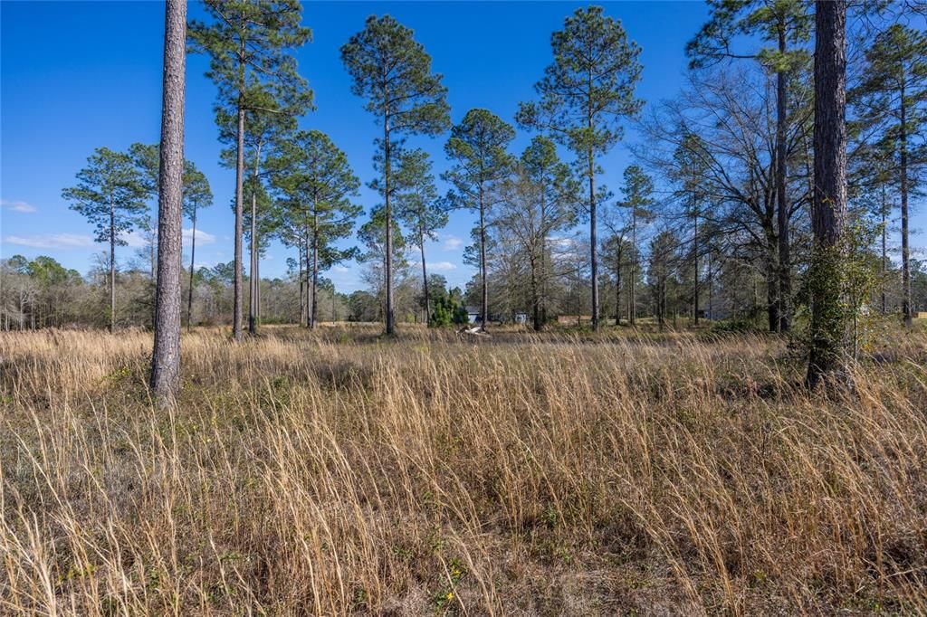 Recently Sold: $48,000 (1.00 acres)