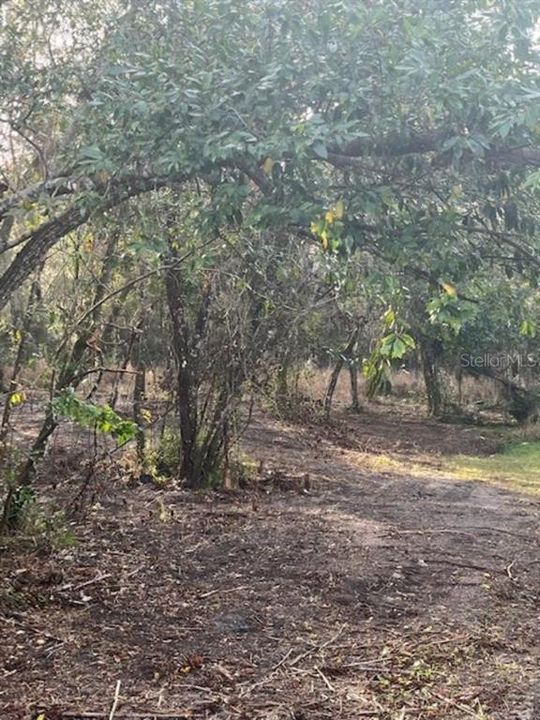 Vendido Recientemente: $21,900 (0.19 acres)