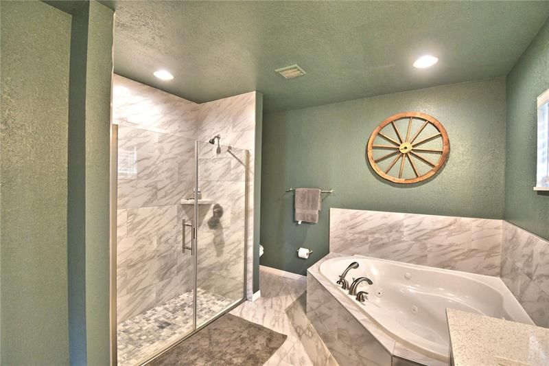 Shower and jetted tub