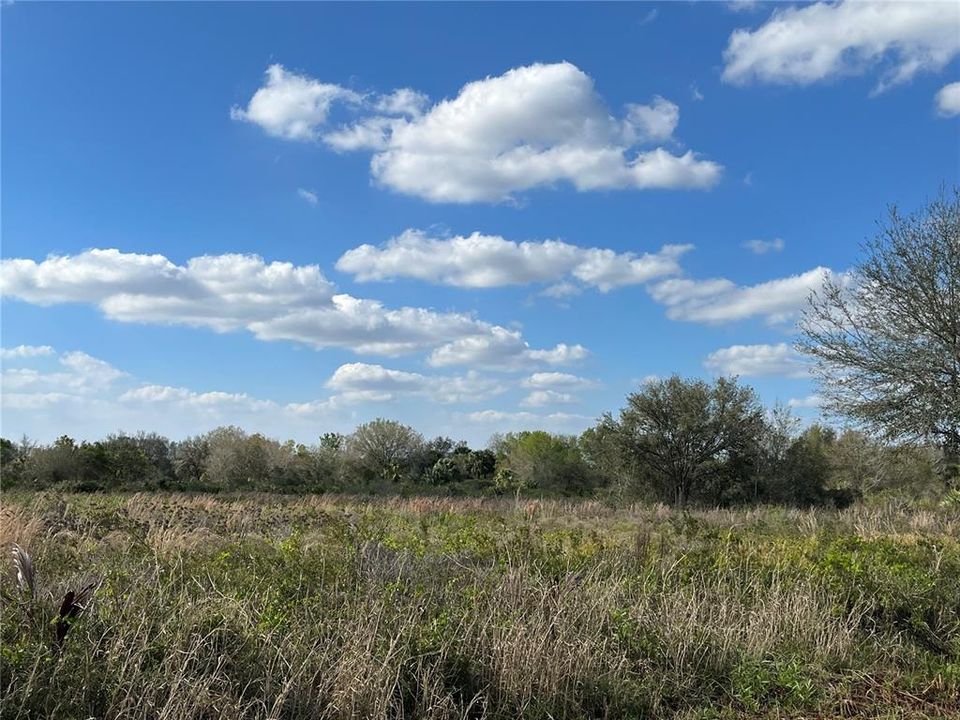 Recently Sold: $64,900 (1.25 acres)