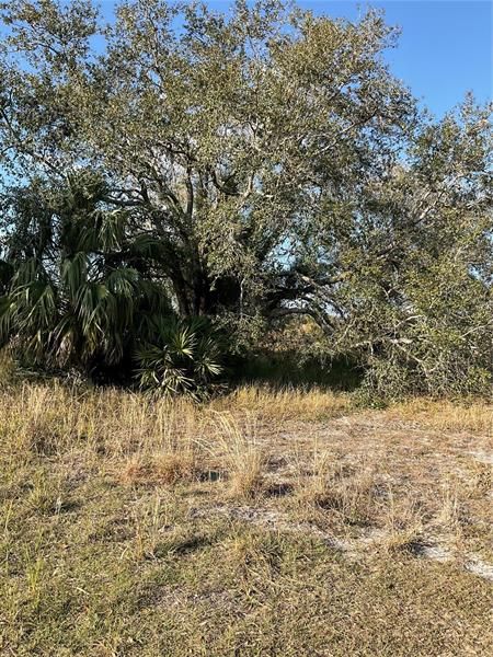 Recently Sold: $139,500 (4.38 acres)