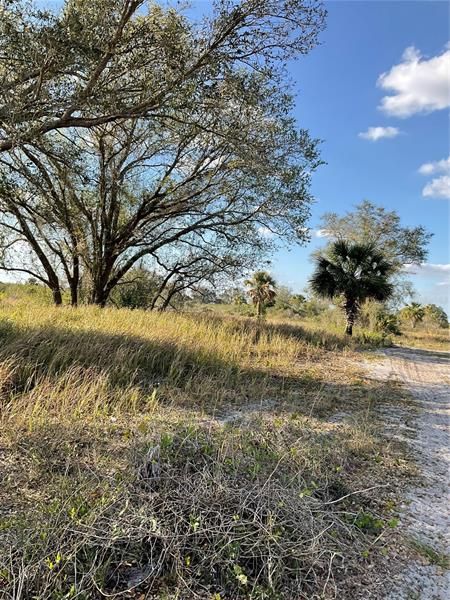Recently Sold: $139,500 (4.38 acres)