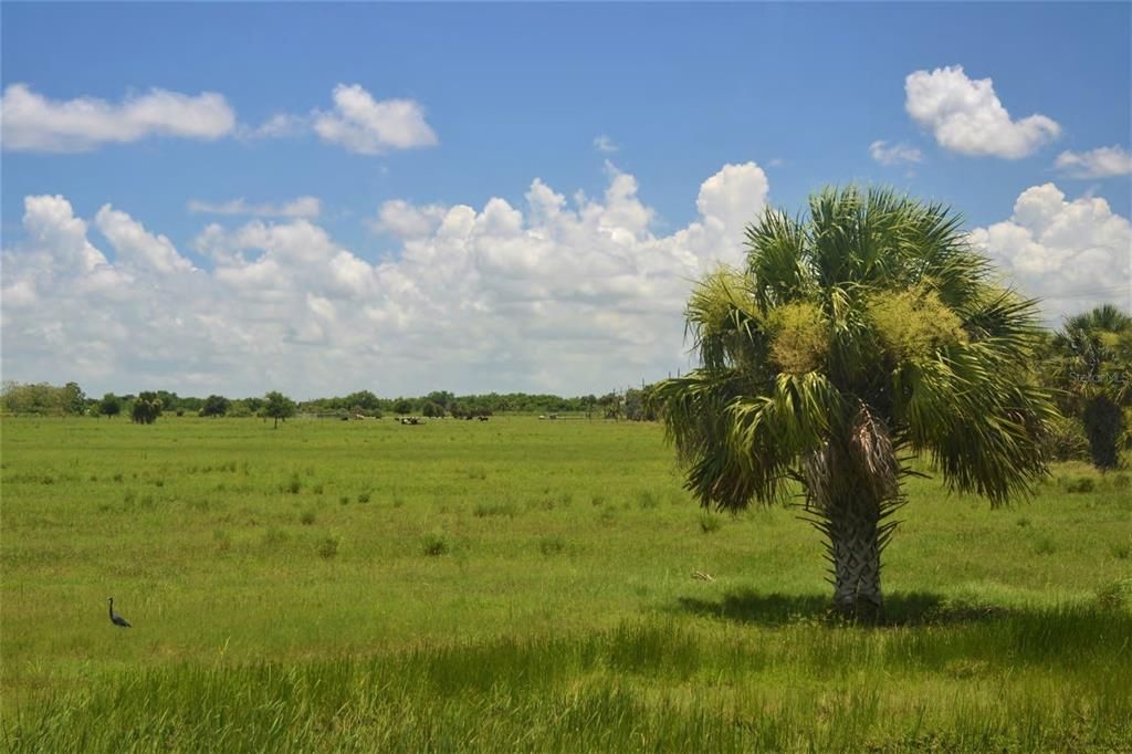 En Venta: $799,000 (39.31 acres)
