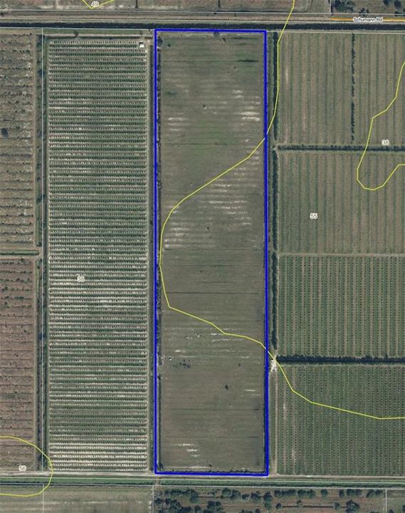 En Venta: $799,000 (39.31 acres)