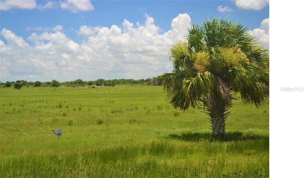 En Venta: $799,000 (39.31 acres)