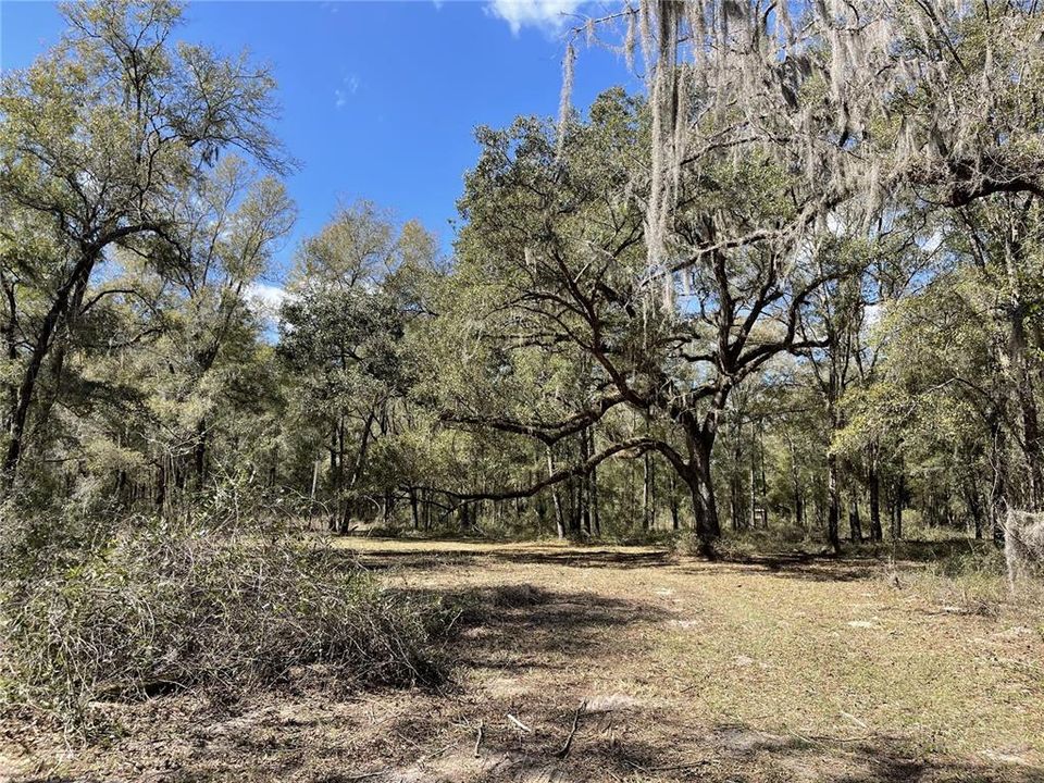 Recently Sold: $170,000 (7.54 acres)