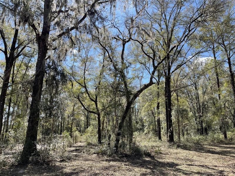 Recently Sold: $170,000 (7.54 acres)