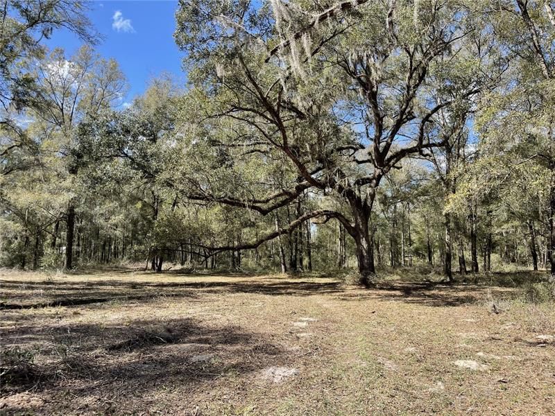 Recently Sold: $170,000 (7.54 acres)