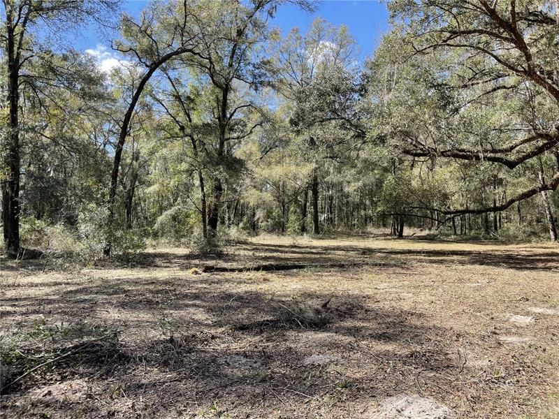 Recently Sold: $170,000 (7.54 acres)