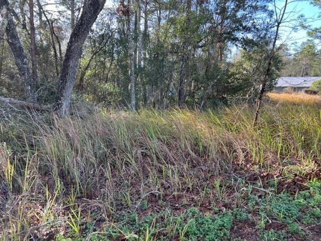 Active With Contract: $30,000 (0.24 acres)