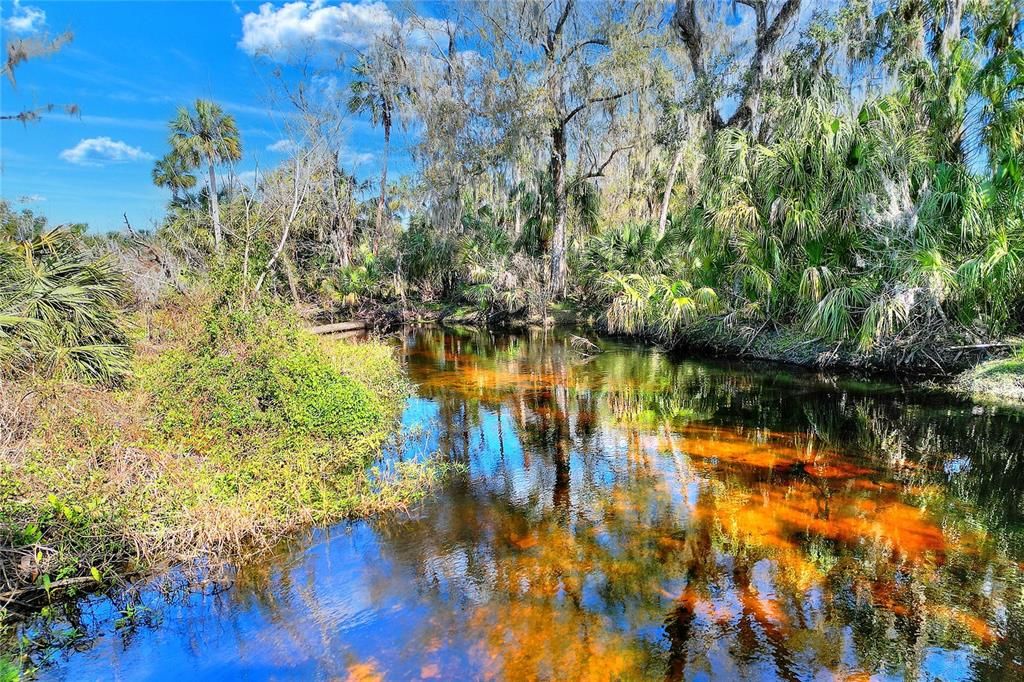 South Prong of the Alafia River