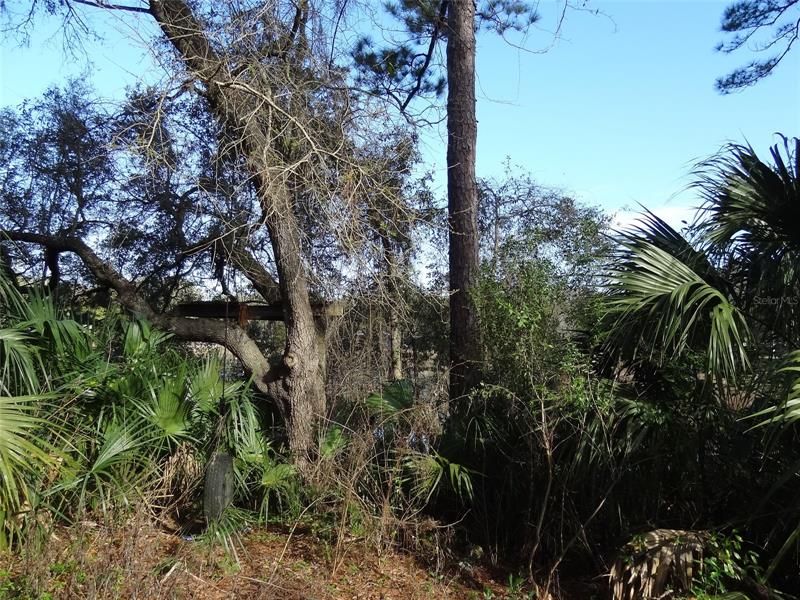 Recently Sold: $8,000 (0.22 acres)