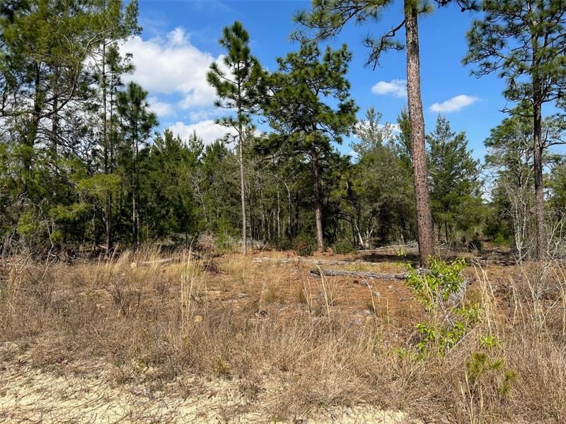 Recently Sold: $39,900 (2.49 acres)