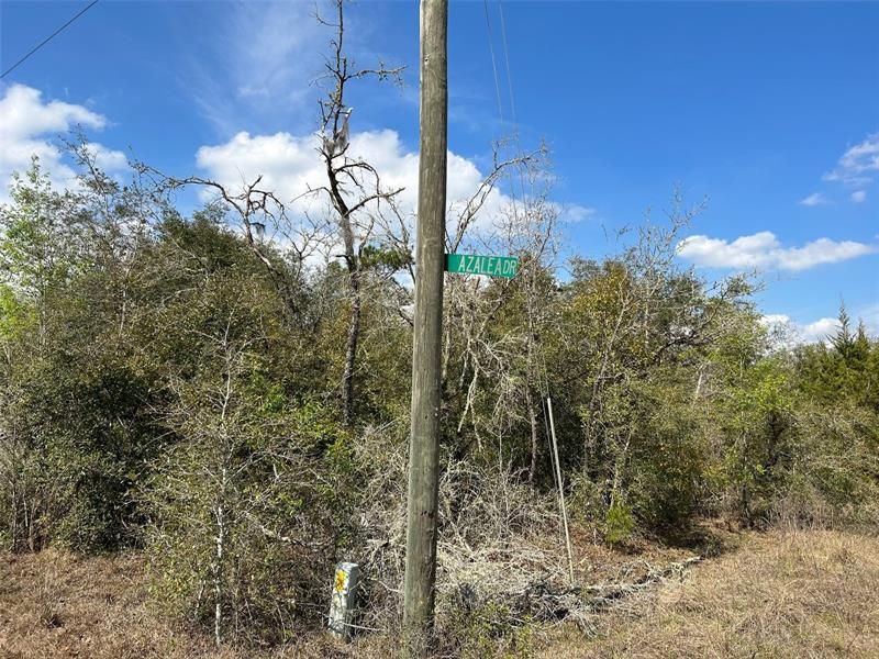 Recently Sold: $39,900 (2.49 acres)